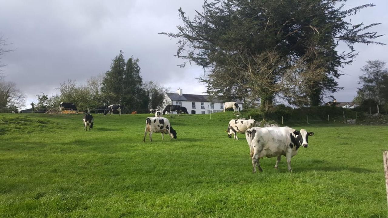 Bed and Breakfast Gortamullen House, Kenmare Exterior foto