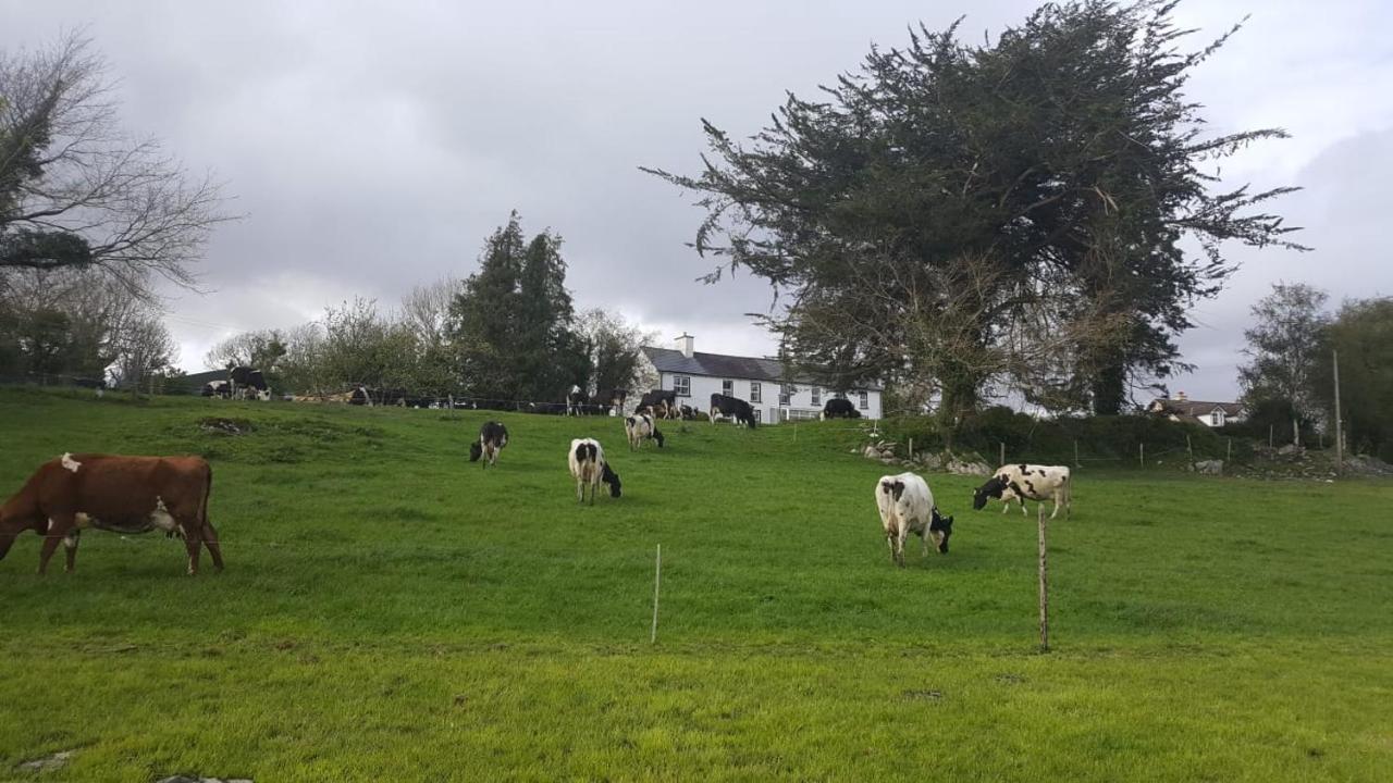 Bed and Breakfast Gortamullen House, Kenmare Exterior foto